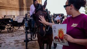 Es el momento de acabar con las calesas de caballos en Palma