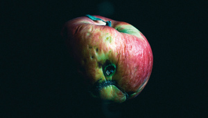 Cuarenta años después de Chernobil, todavía no nos hemos librado