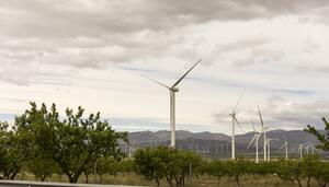 Por qué es importante ordenar la energía solar y eólica: algunas ideas para un nuevo gobierno de Andalucía