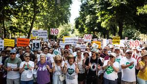 Decenas de miles de personas señalan a Díaz Ayuso por desmantelar la sanidad pública