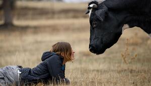 200 animales rescatados de la industria alimentaria permanecen atrapados en la zona del incendio de Madrid