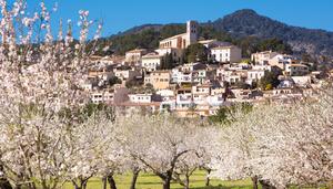 Antoni Muñoz: “La Serra de Tramuntana no és només un decorat, sinó una zona de Mallorca gentrificada”