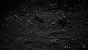 España, meca europea de la fiebre por los minerales críticos