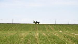 Desde el estrecho de Ormuz al supermercado: el precio de los fertilizantes ahogan a agricultores y familias
