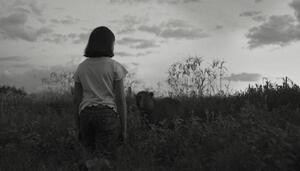 Viaje cinematográfico por la Argentina de las muchas crisis