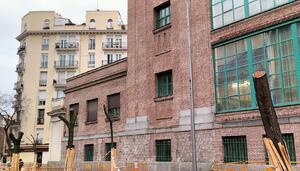De Atocha a la Fórmula 1: denuncian la destrucción de arbolado en las obras de Madrid