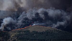 Más de 80.000 personas evacuadas por los incendios en Ávila y la Comunidad de Madrid