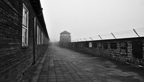 Mauthausen 1