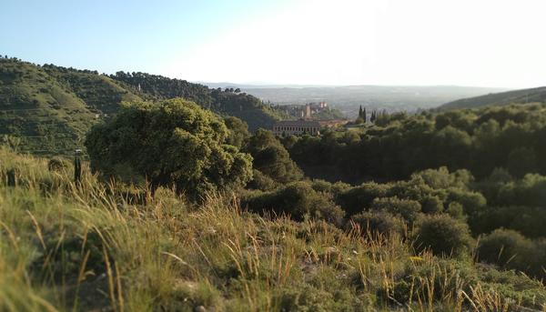 Granada desde el Valle del Darro