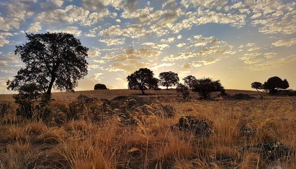 Despoblación campo Extremadura