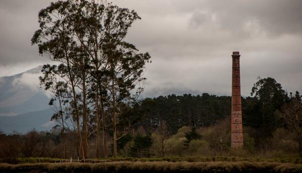 Guggenheim Urdaibai Muruetan. Joseba Barrenetxea 