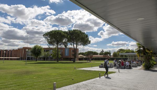 Universidad Camilo José Cela