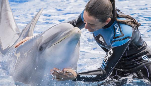 Delfin Zoo Madrid