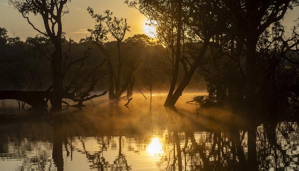 Amazonas Brasil