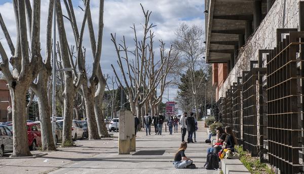 Ciudad Universitaria Universidad - 3