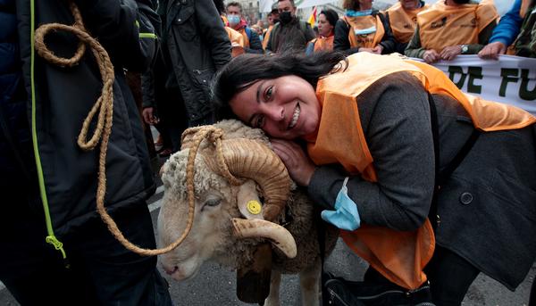 Manifestacion medio rural - 1