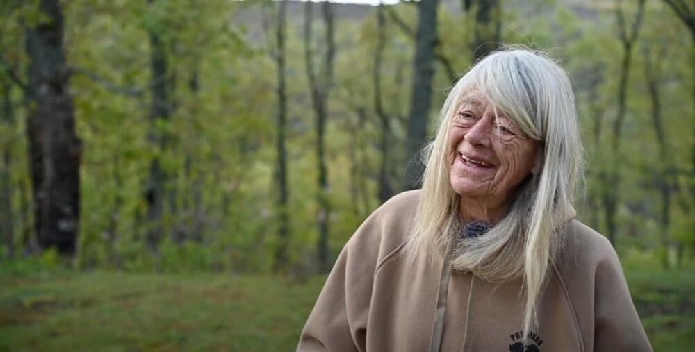 Lucy Rees: “Los caballos salvajes forman una sociedad anárquica de ...