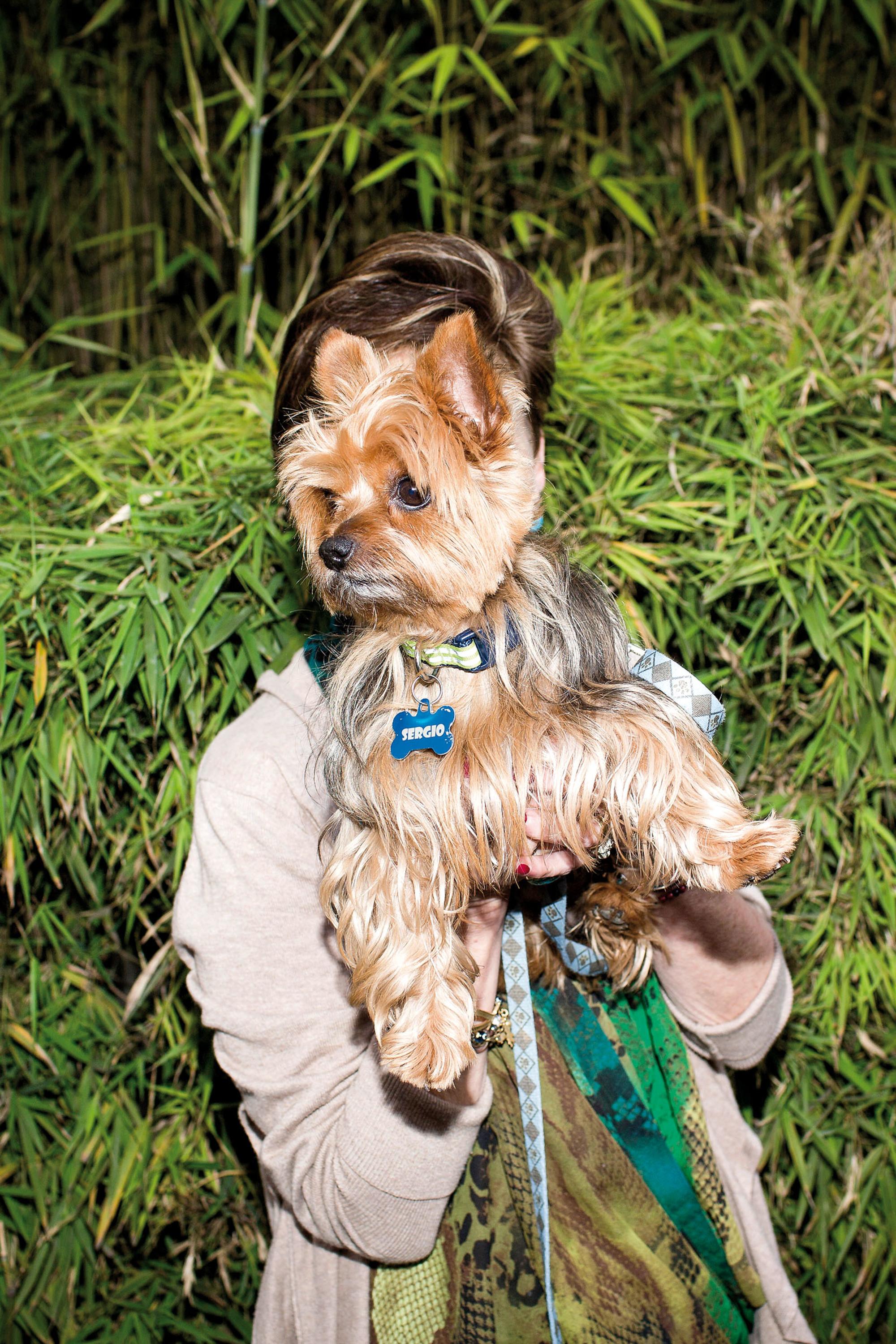 Poo Pink, Fido y la Gónzalez Suárez, perro en alto