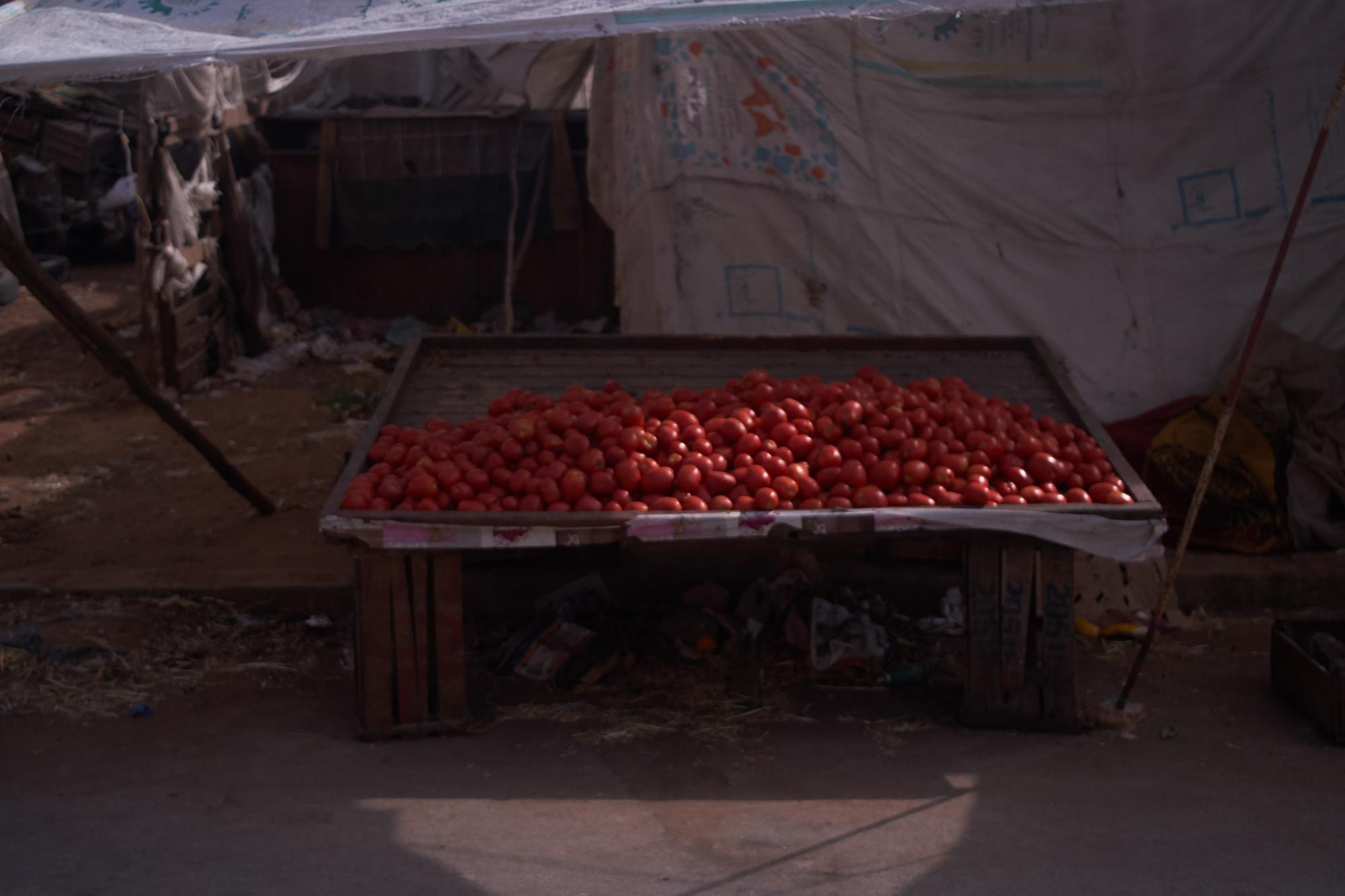 Puesto tomates mercado kenitra