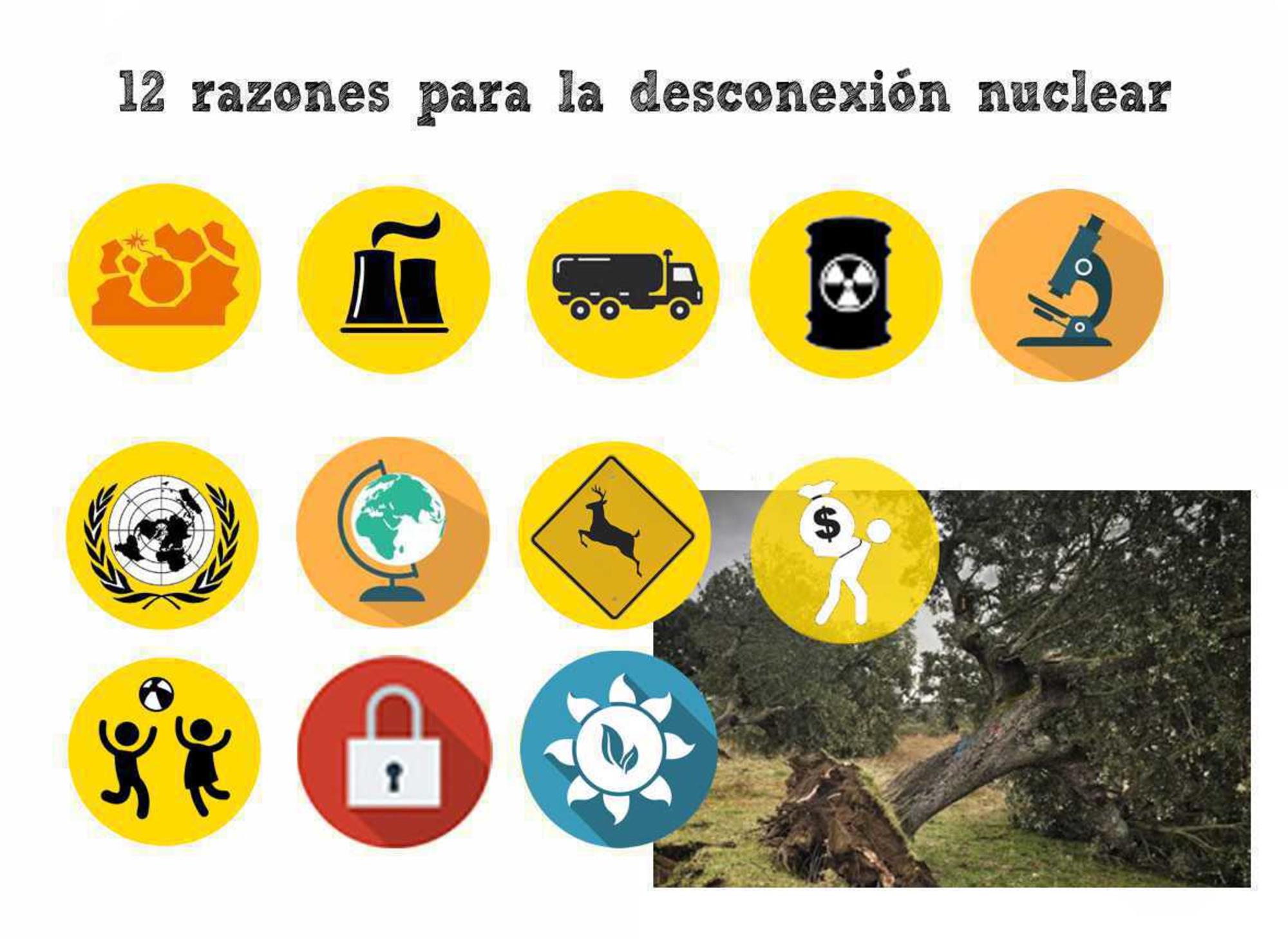 12 razones para la desconexión nuclear 