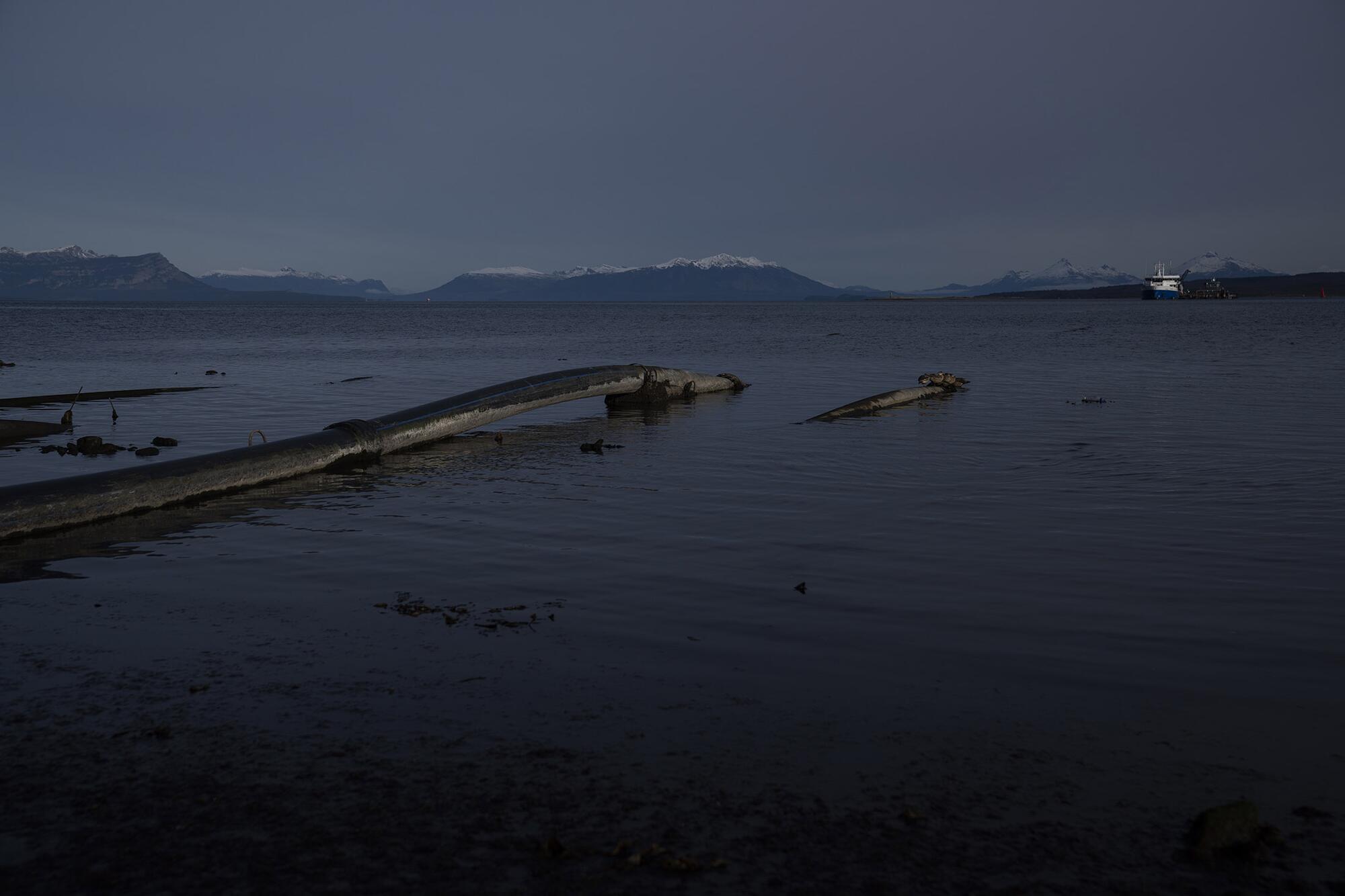 Salmoneras Chile  - 4