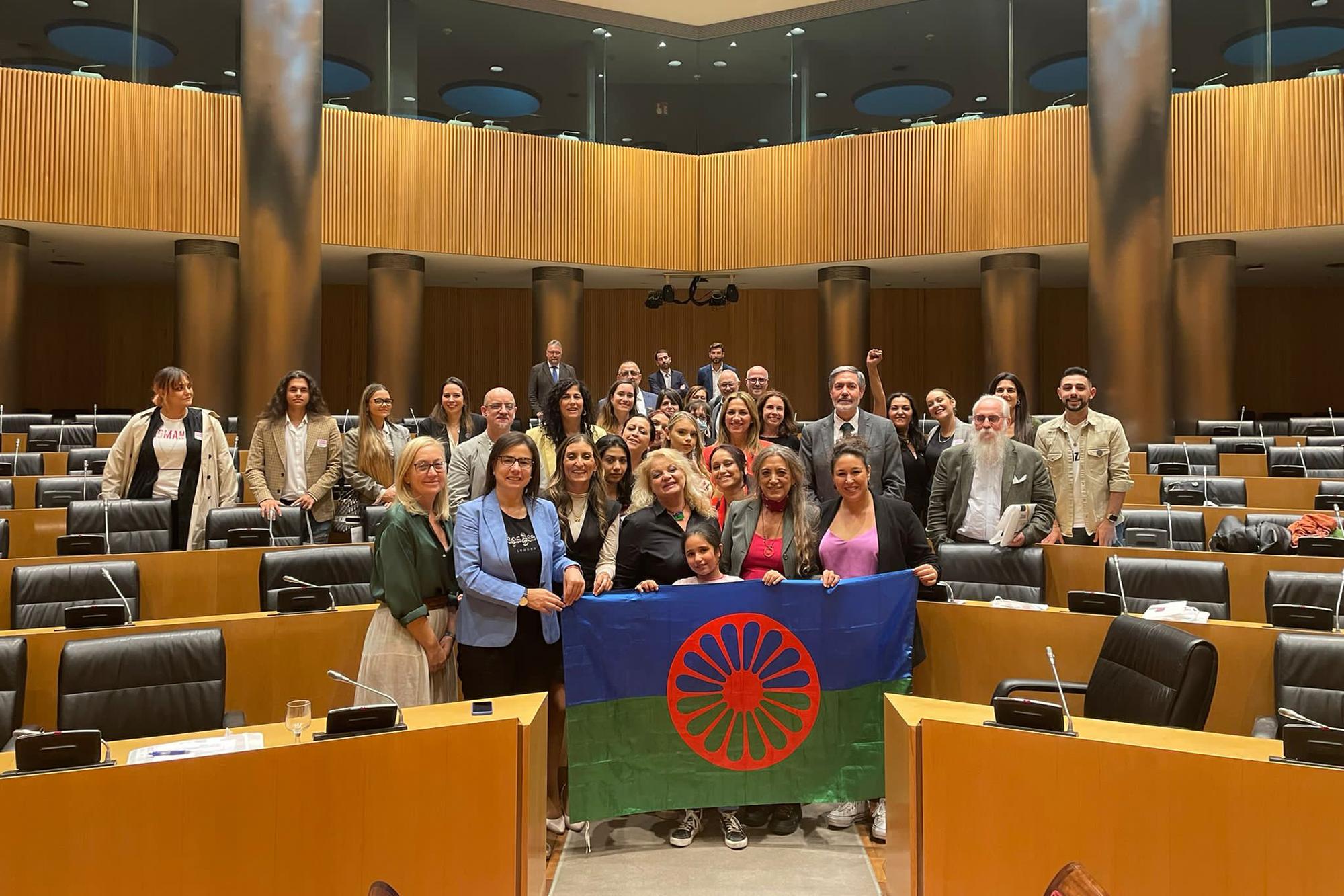 Bandera gitana Congreso