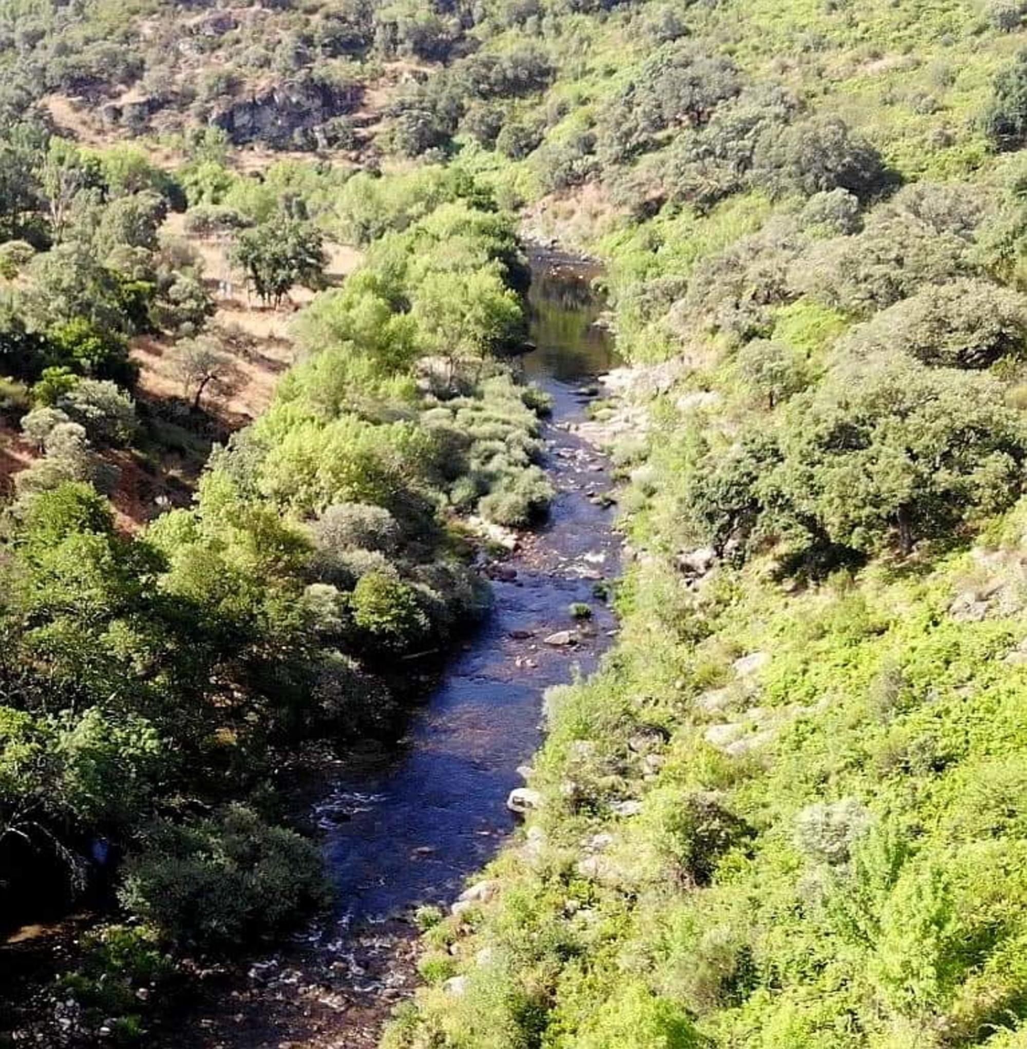 Ríos Extremadura cauce