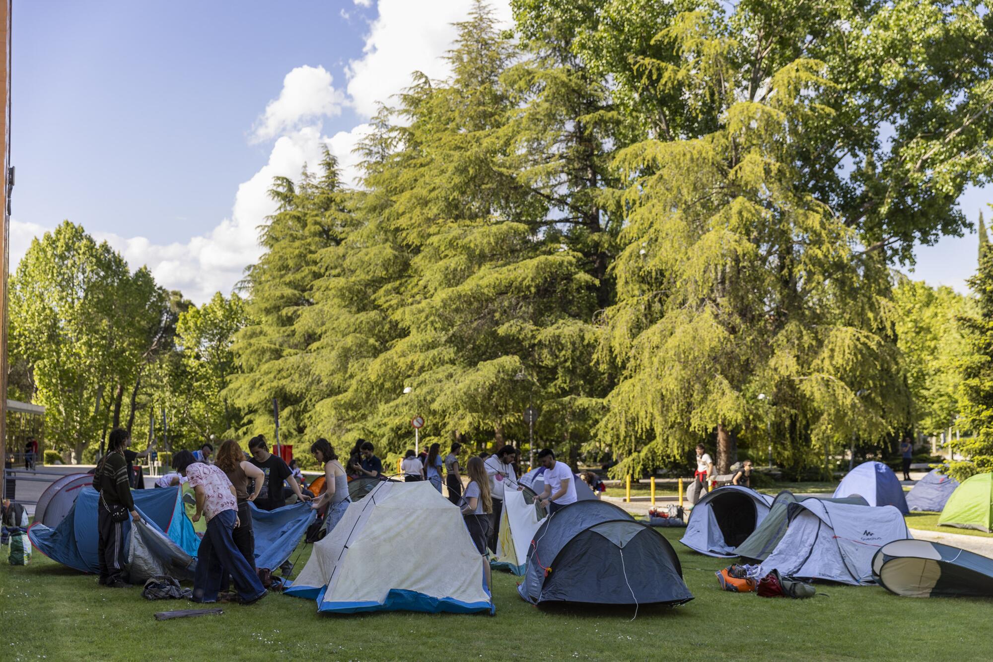 Acampada Palestina Complutense 14-05-25 - 1