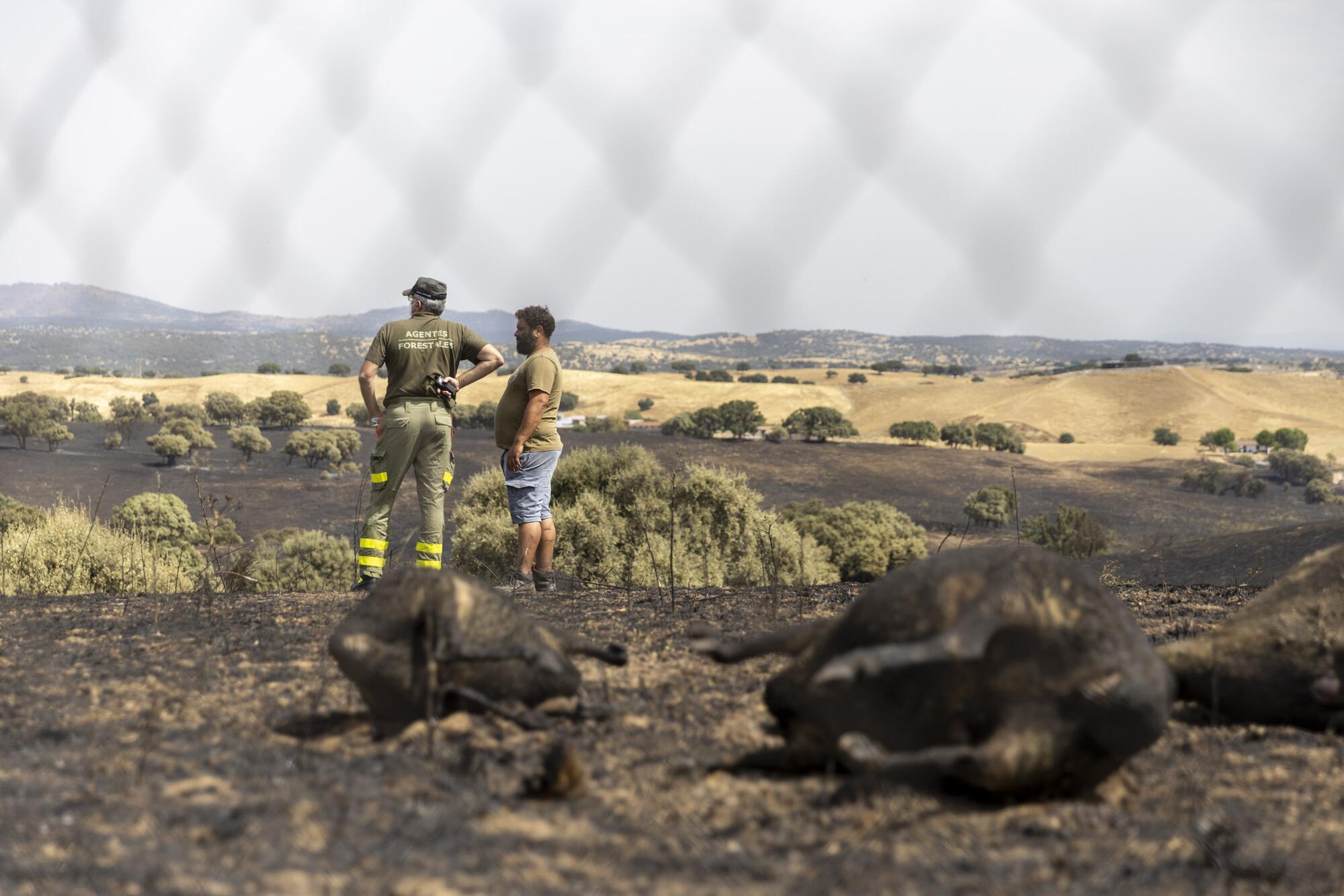 Incendio Tres Cantos  - 16