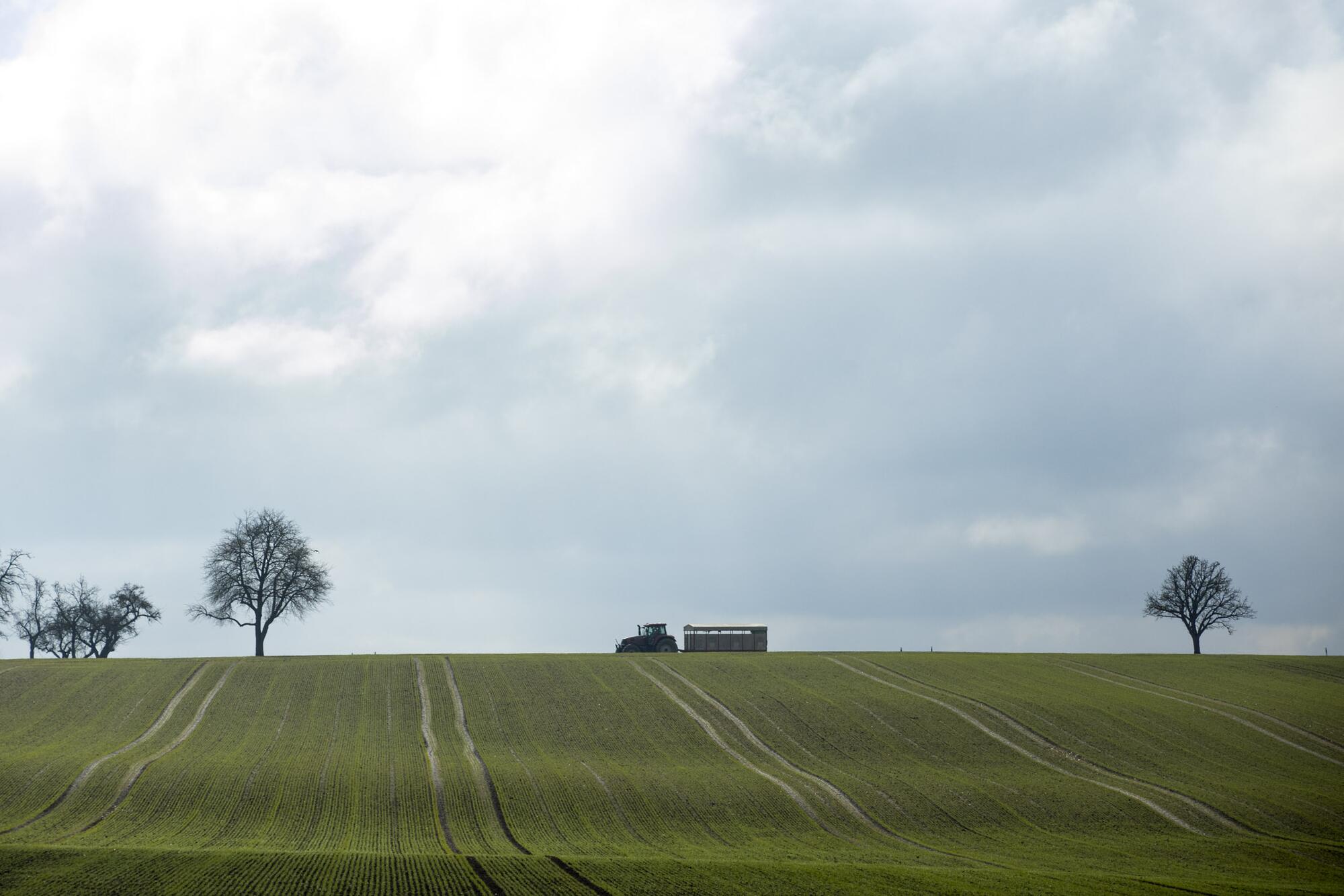 Alemania Campo Naturaleza - 4