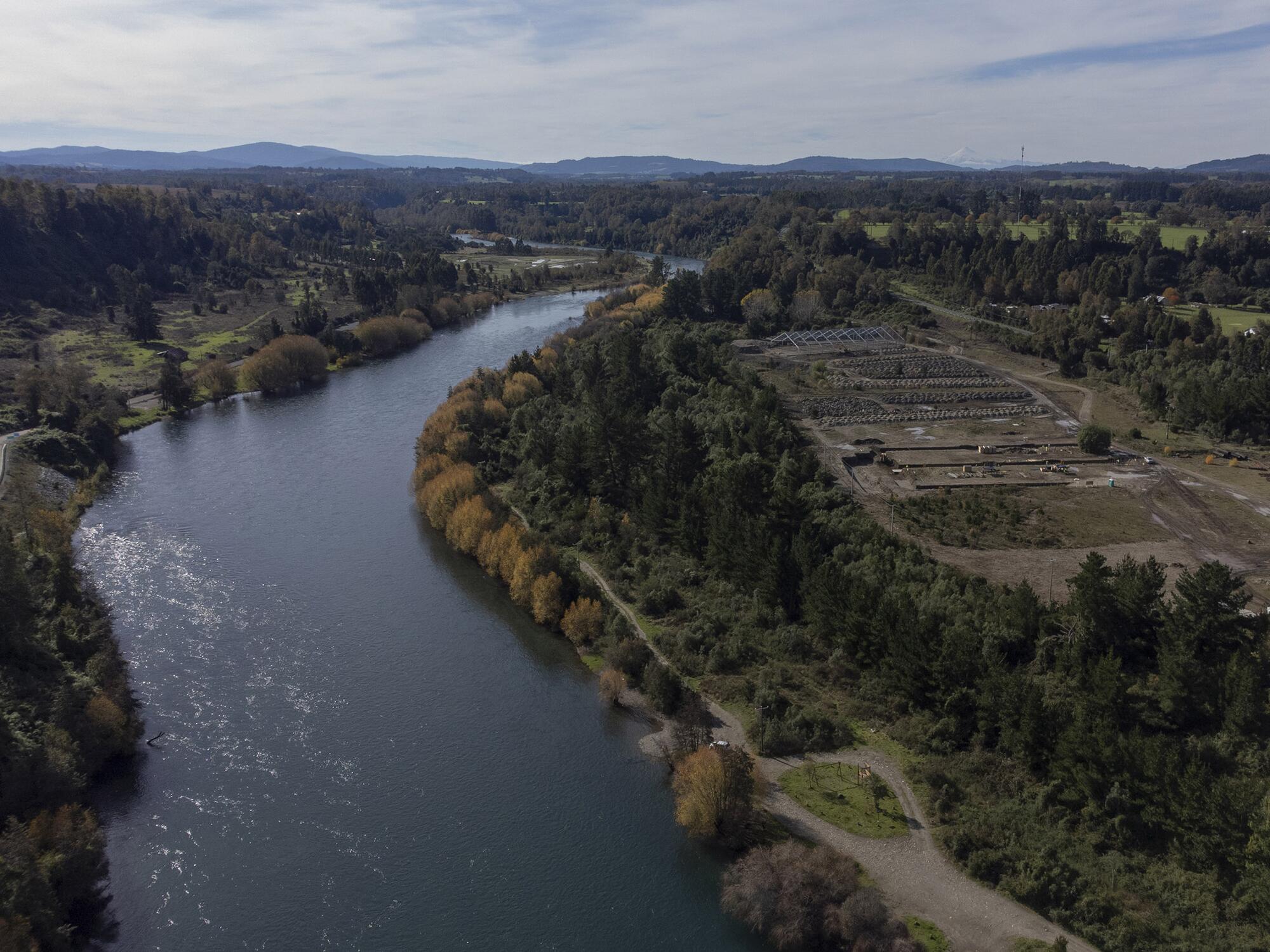 Salmoneras Chile - 6