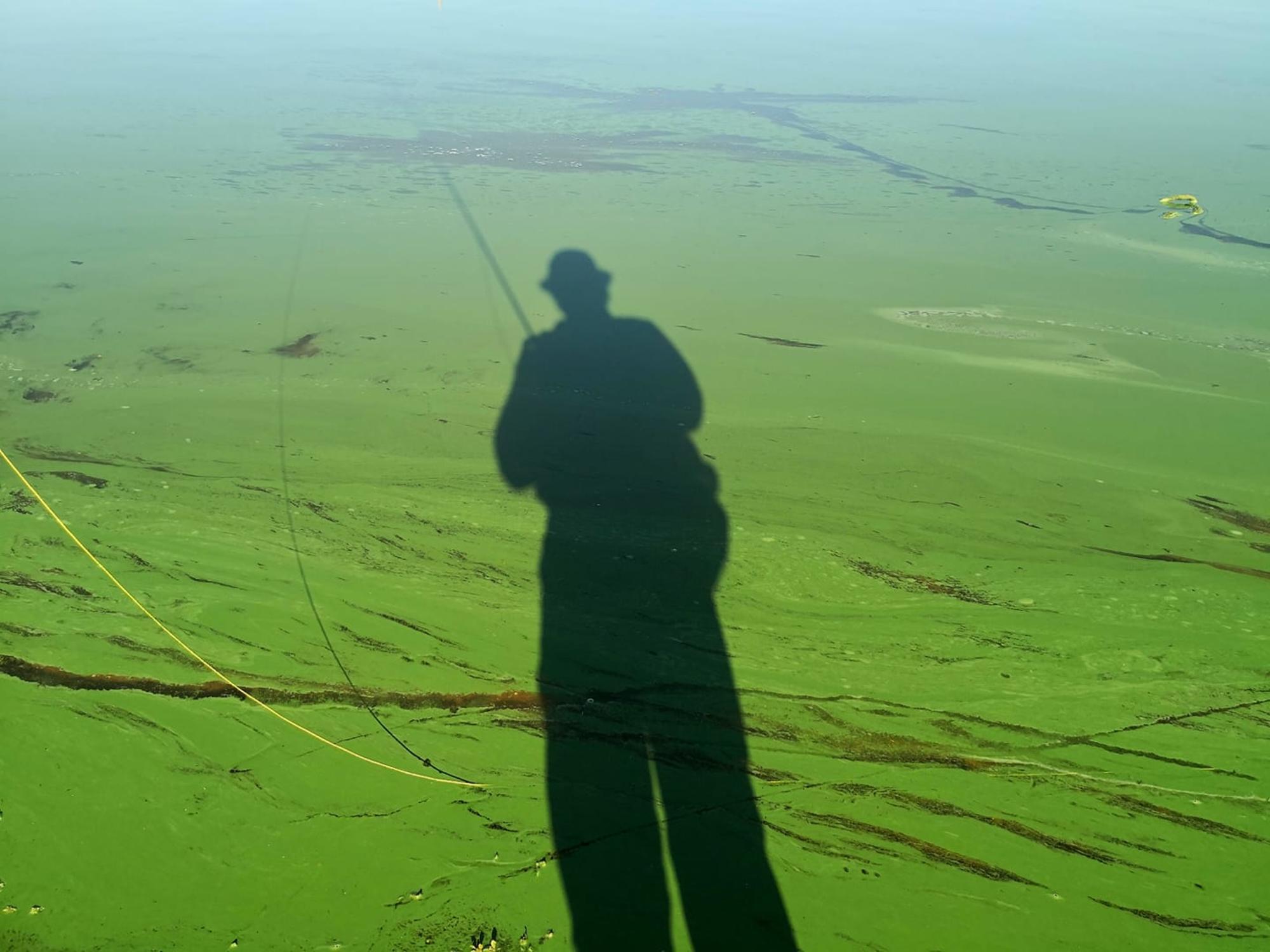 Aguas verdes Tajo