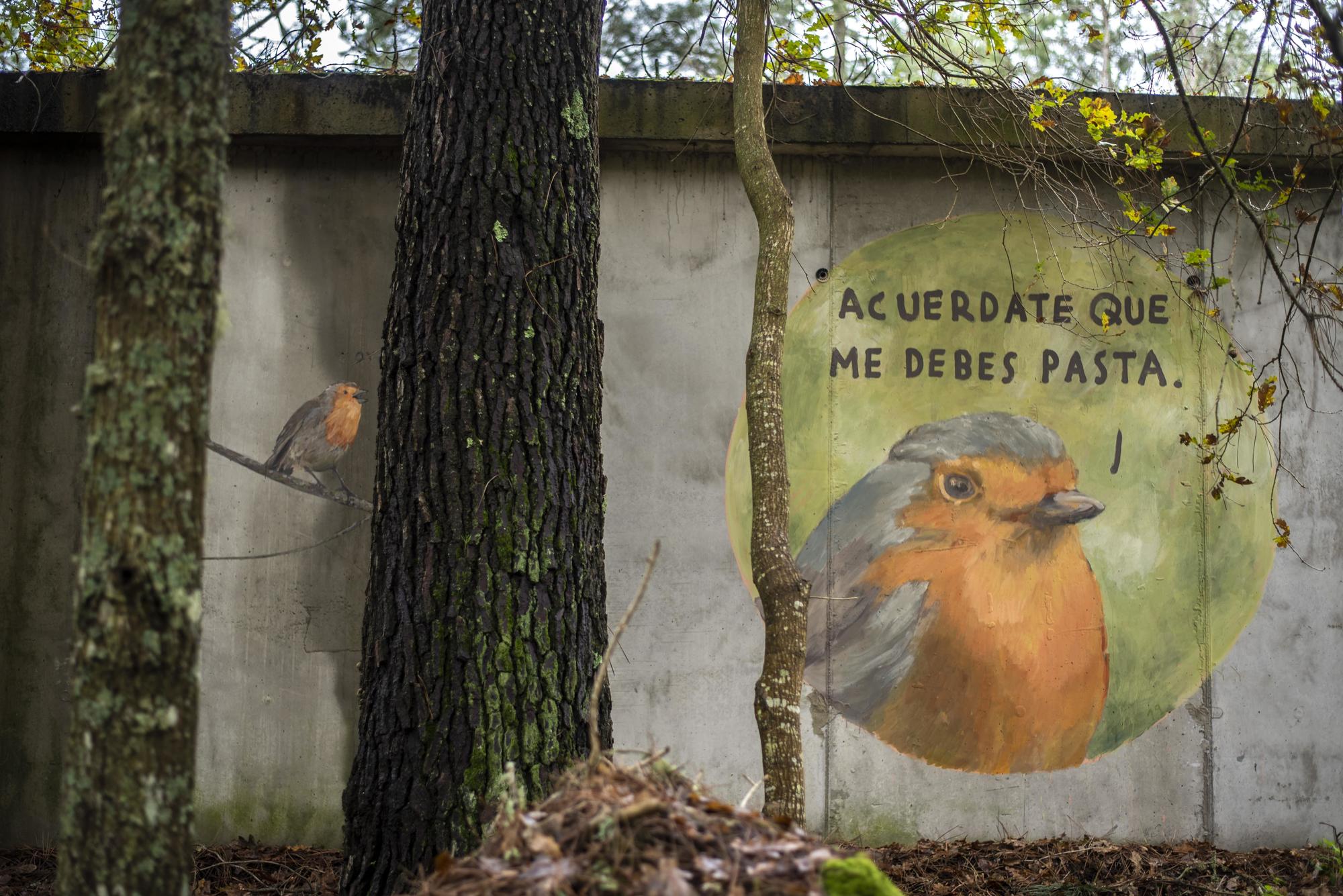 Maz, arte urbano no rural galego - 1