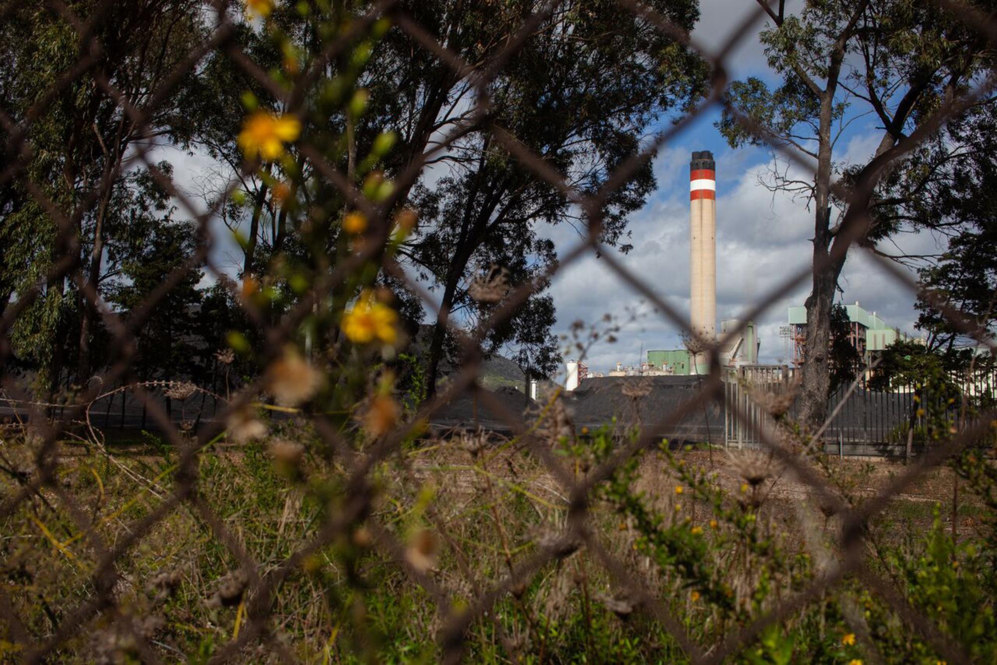 Planta de Carbón en Mallorca.