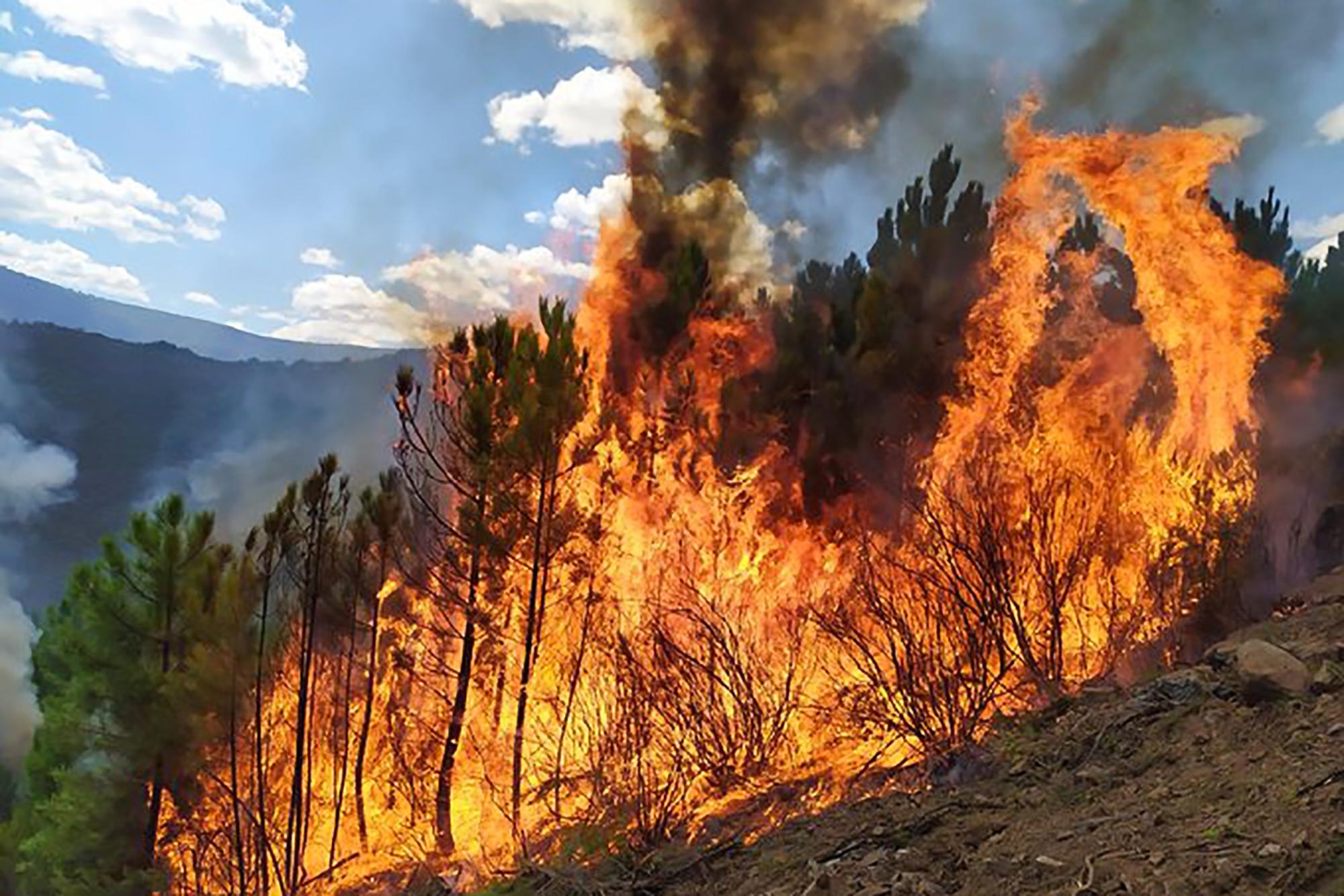 Incendios Extremadura - 4