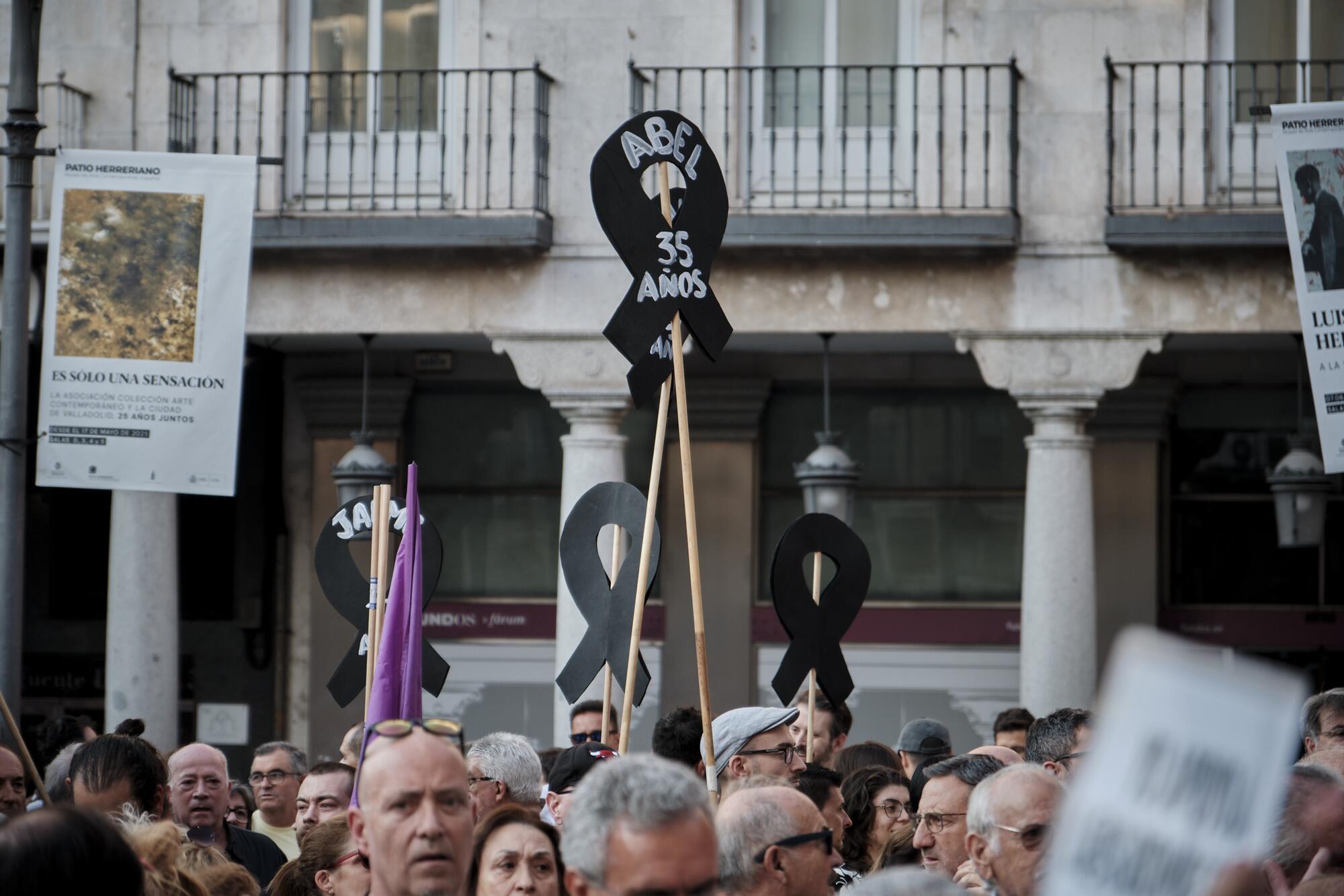 Manifestación Valladolid 20 de agosto Incendios Galeria - 4