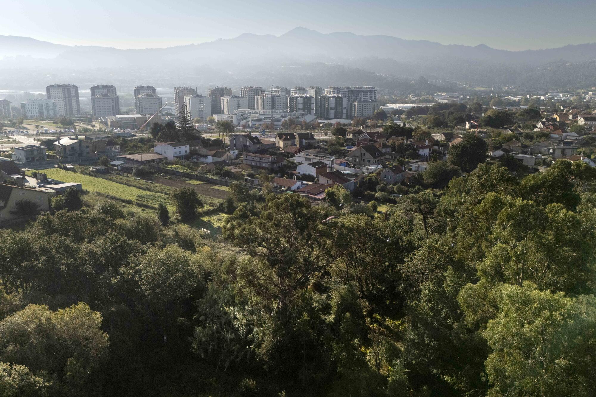 Carballeira da barroca - 5