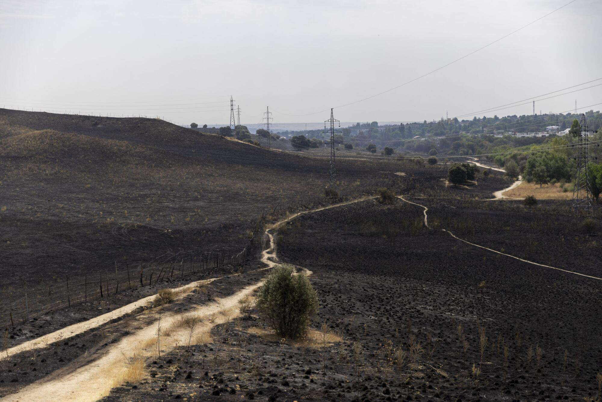 Incendio Tres Cantos  - 5