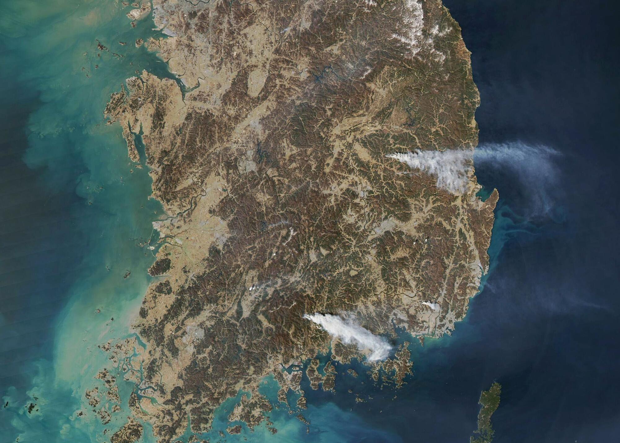 Incendios forestales Corea del Sur