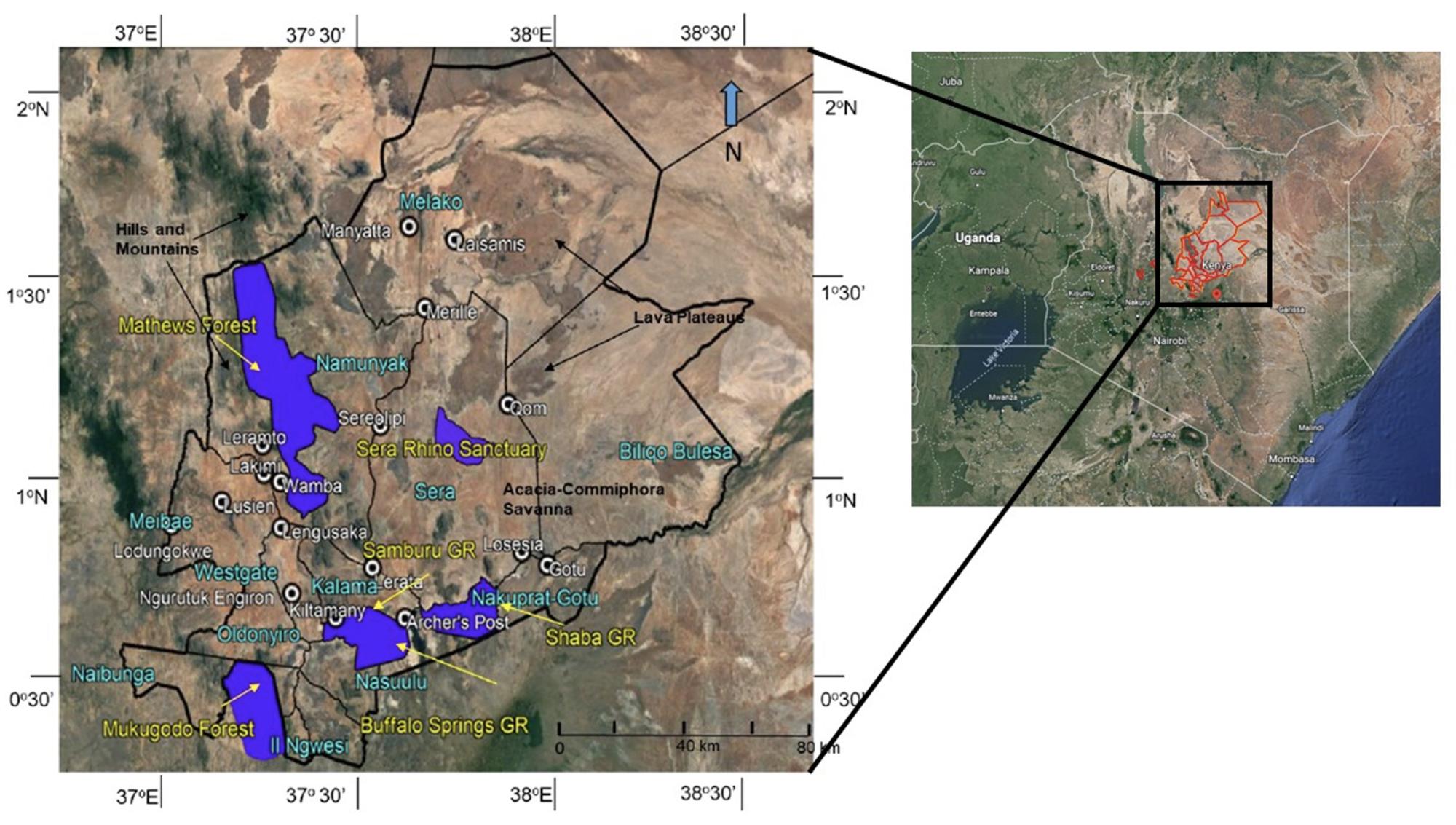 Proyecto de Carbono de Pastizales del Norte de Kenya 3