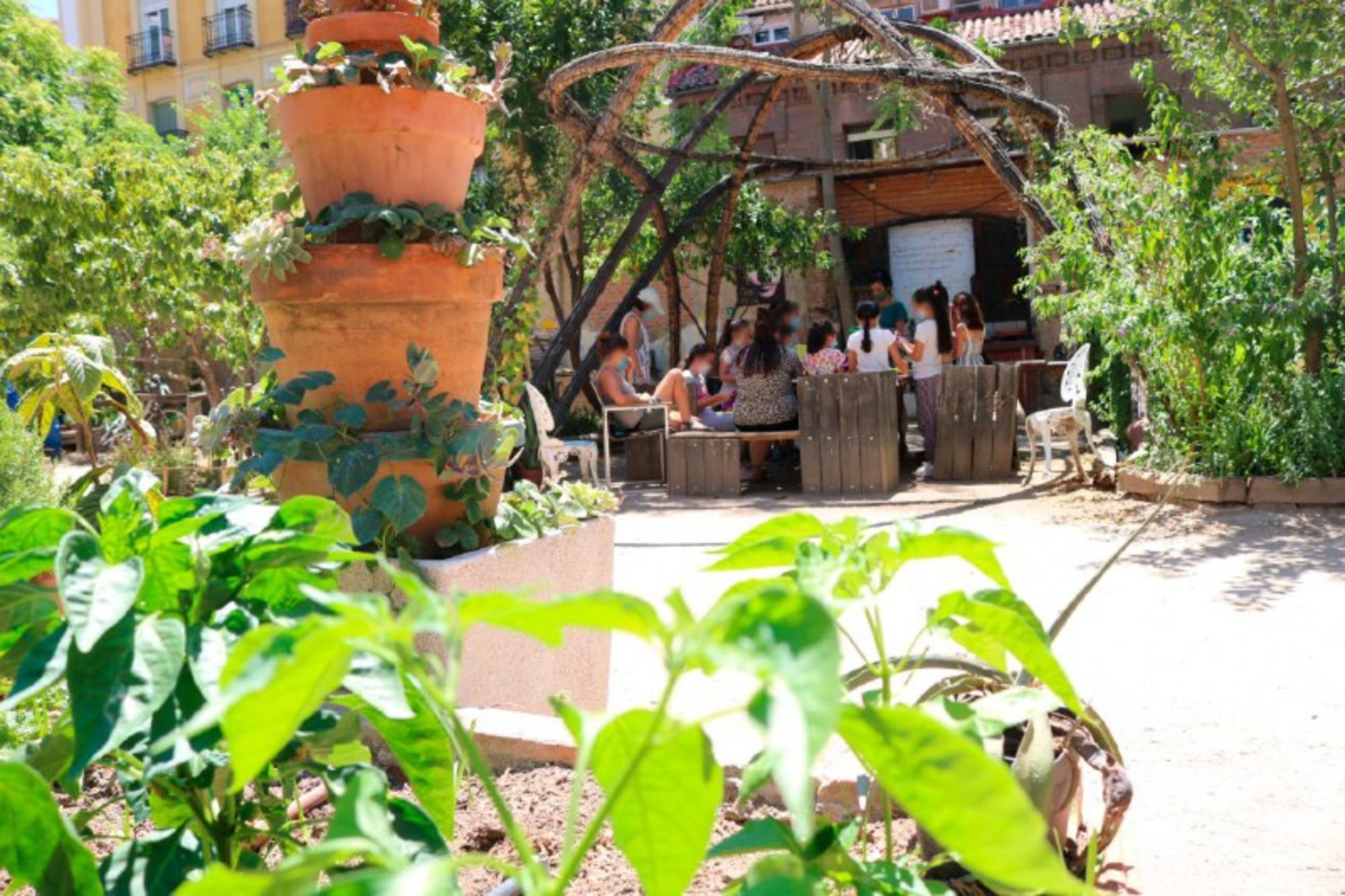 Actividades huertos niñas y niños.