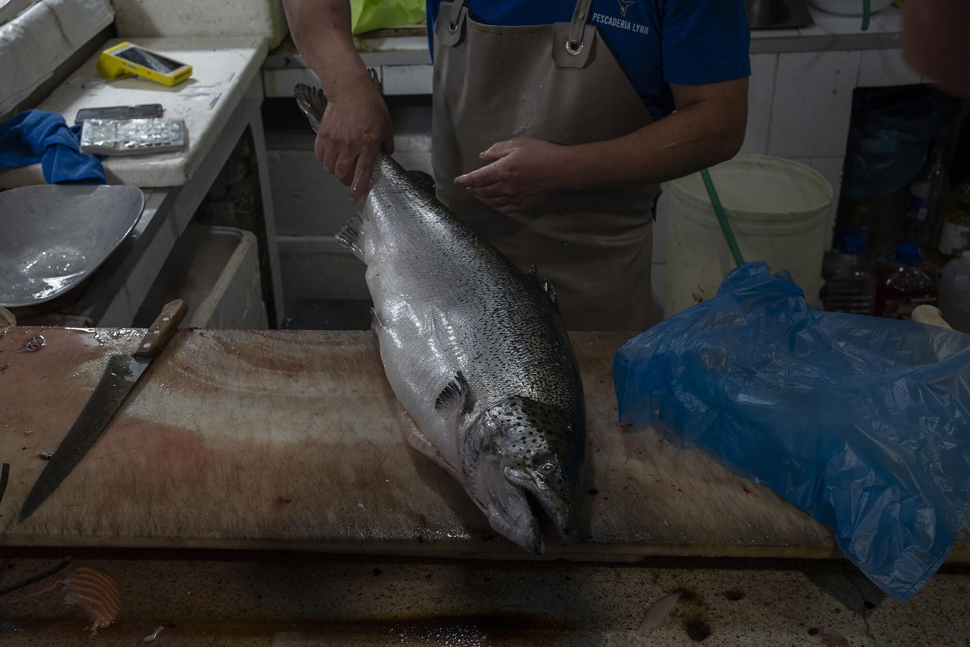 Salmoneras Chile - 3