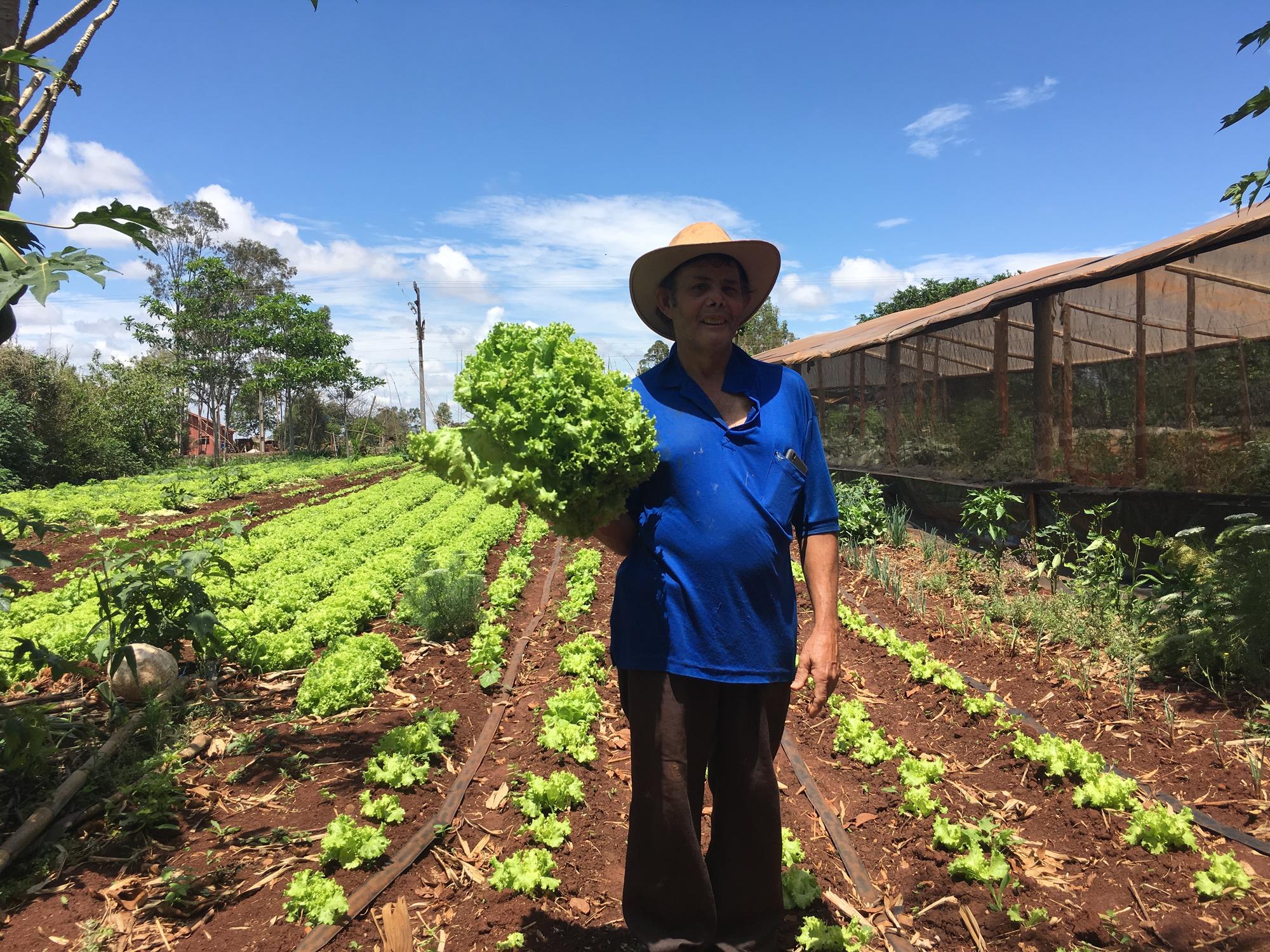 Adeniro, agricultor ecológico en Itamaratí (Brasil).
