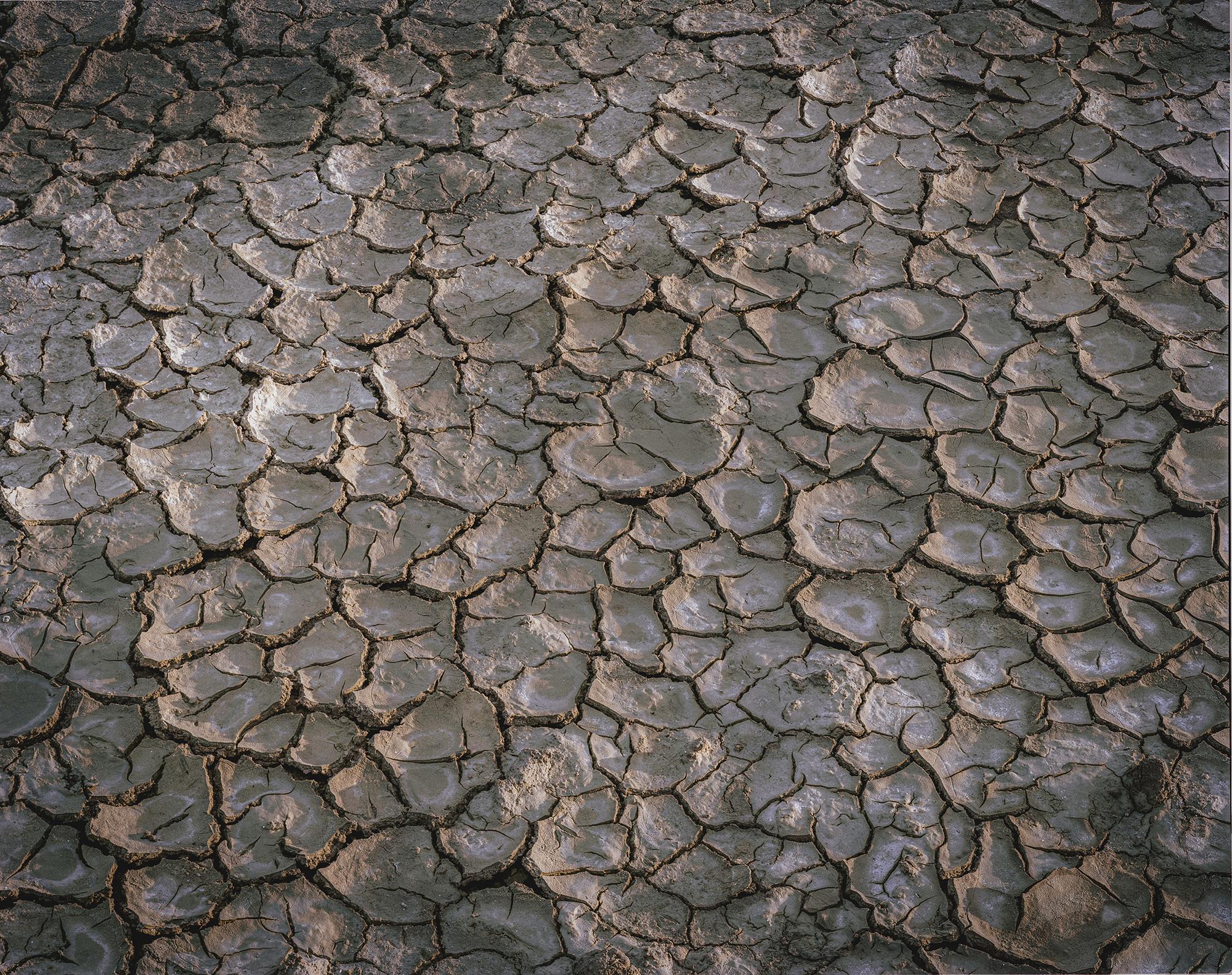 Árida: crisis climática y desertificación en el sureste ibérico - 11