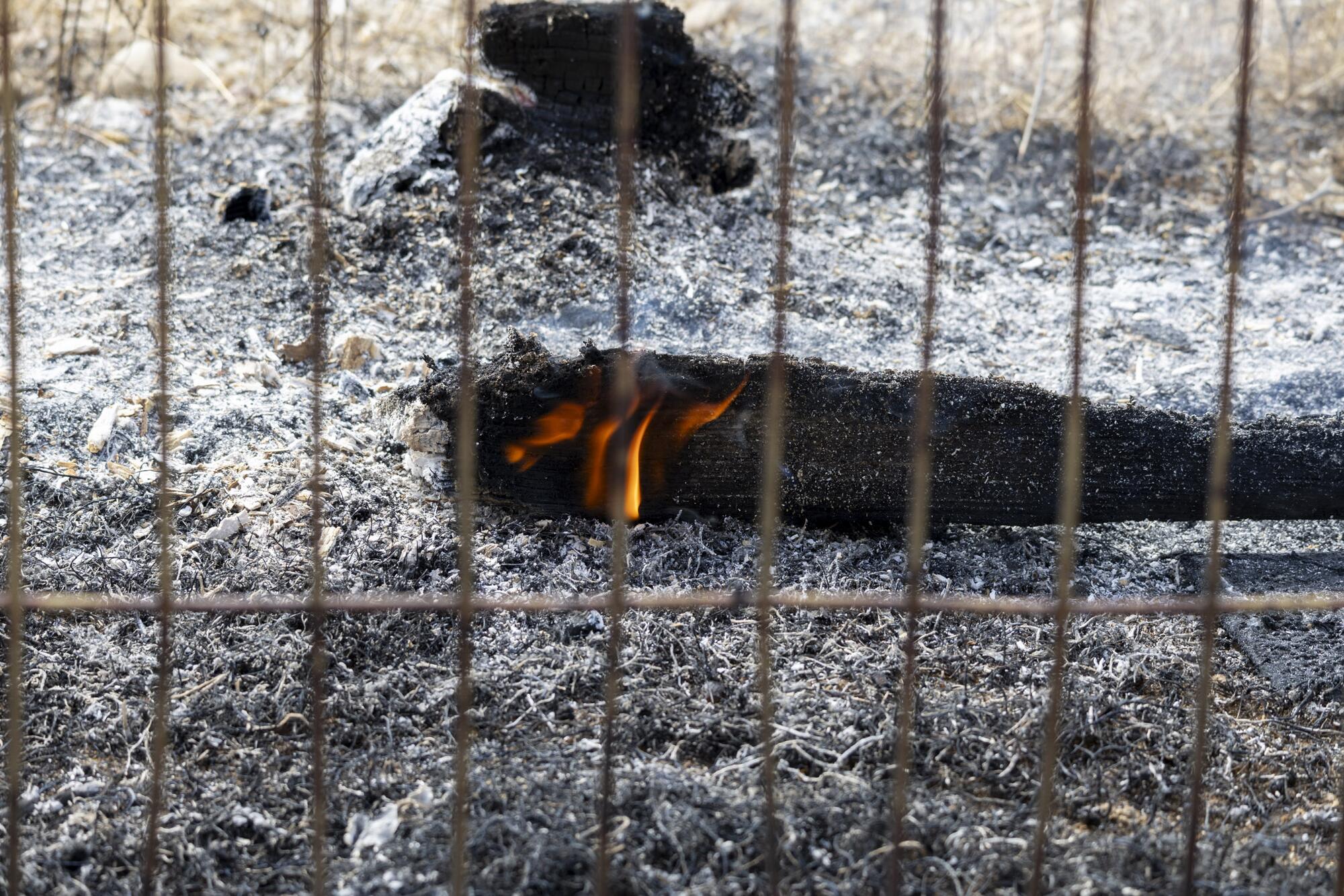 Incendio Tres Cantos  - 1