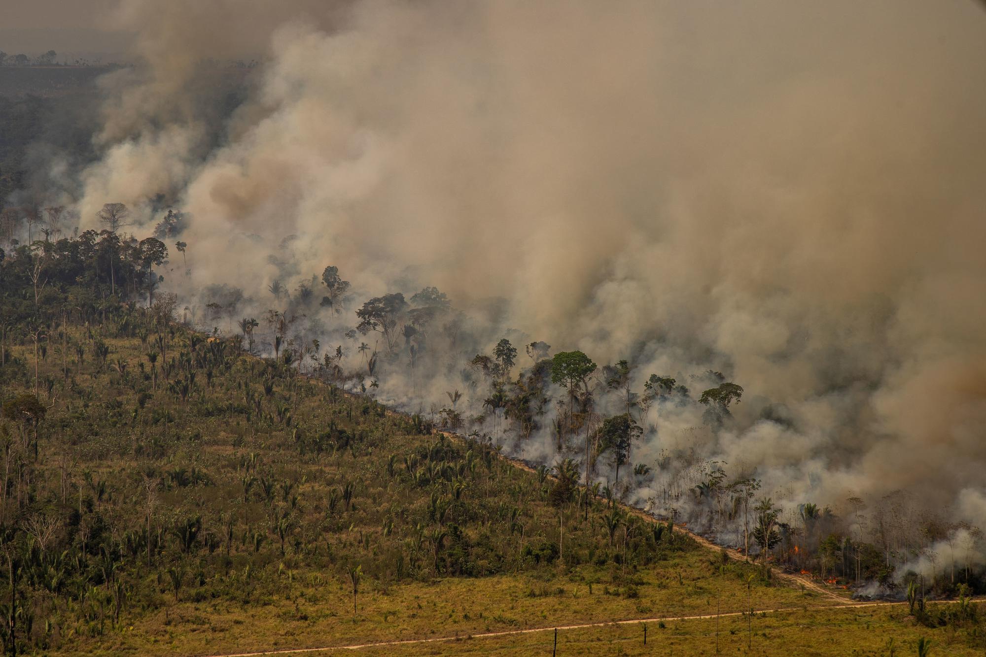 Amazonas fuego greenpeace