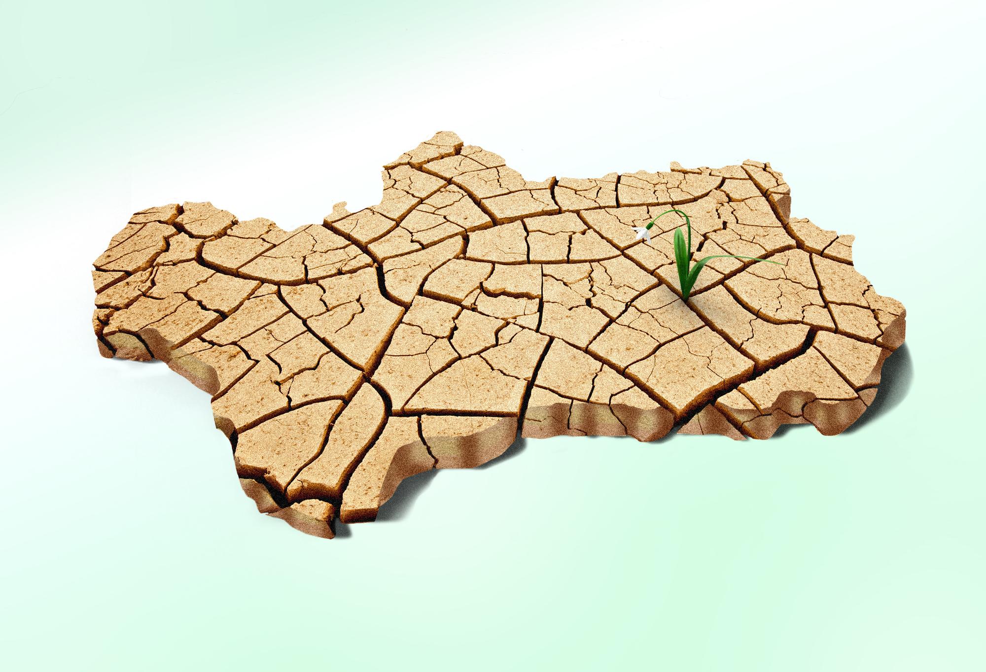 Sequia andalucia 23