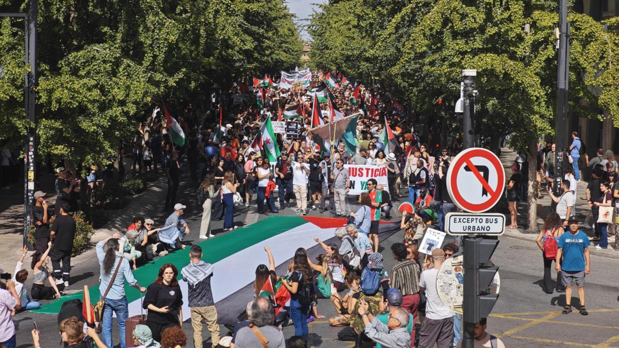 Así fue la huelga general por Palestina en Andalucía - 2