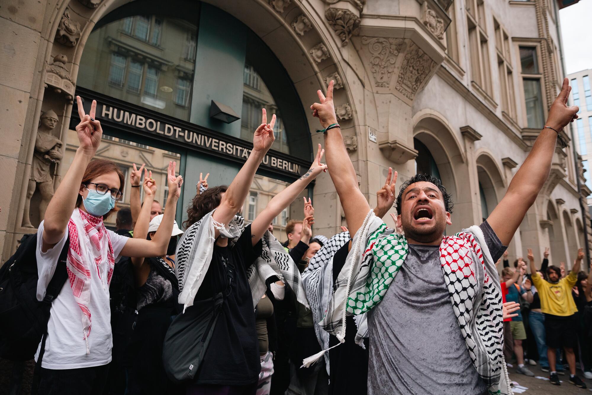 Homboldt Propalestina - 8