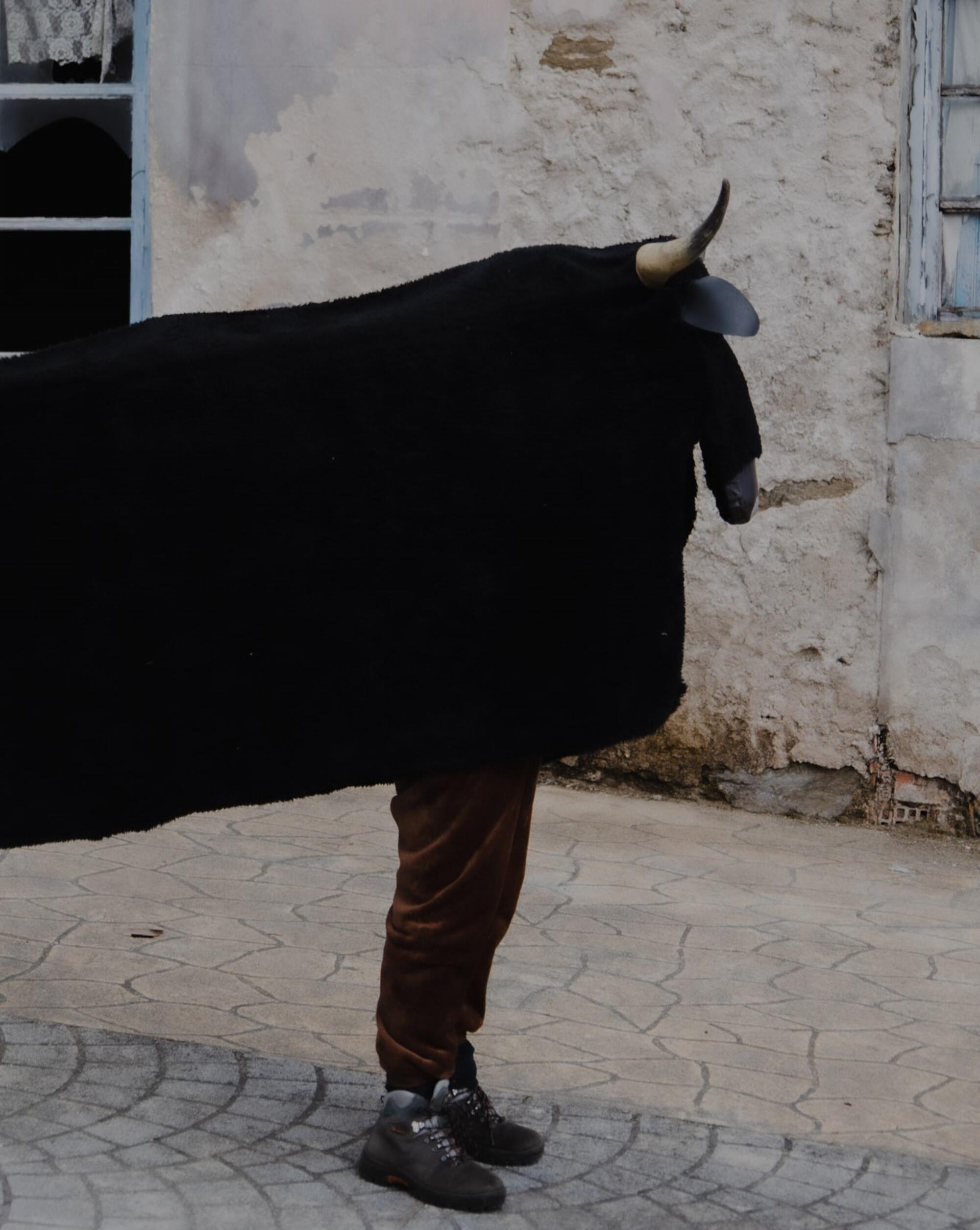 Máscaras ancestrais e entroidos tradicionais no encontro senlleiro da mascarada ibérica - 9